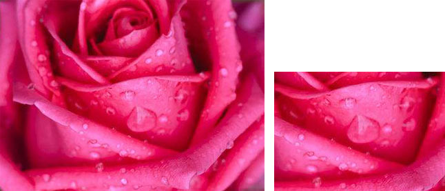 理光6503復印機 高質量畫質 理光6503復印機 高質量畫質